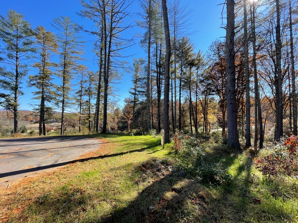 Lot 173 Highland Park, Blairsville GA 30512 - Photo