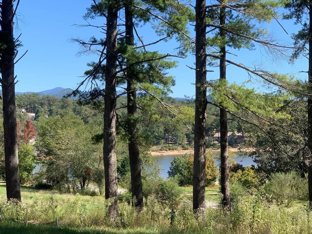 Lot 173 Highland Park, Blairsville GA 30512 - Primary photo