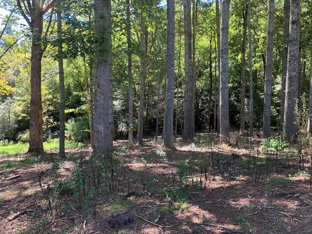 Lot 173 Highland Park, Blairsville GA 30512 - Photo