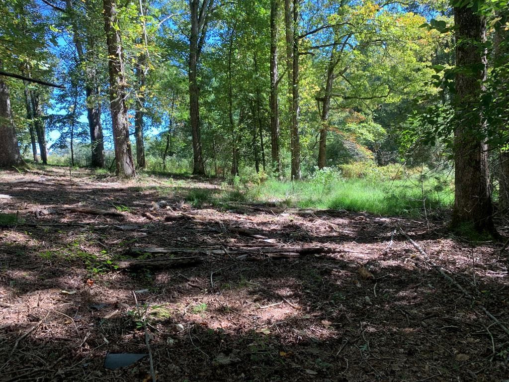 Lot 173 Highland Park, Blairsville GA 30512 - Photo