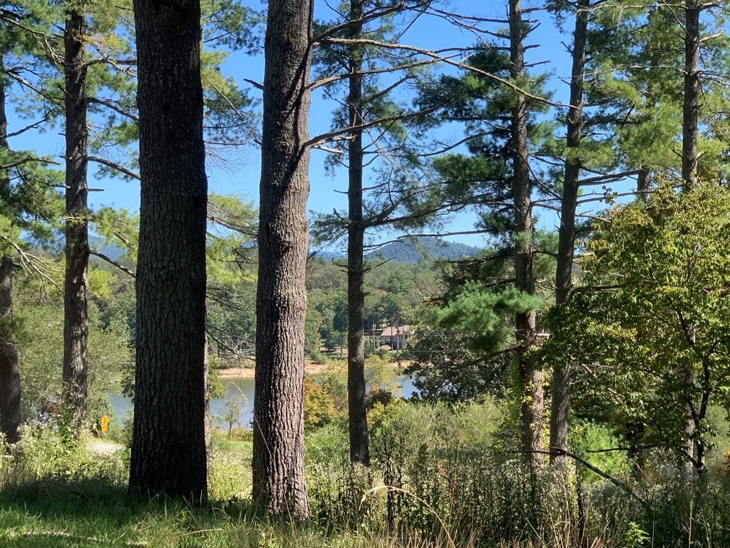 Lot 173 Highland Park, Blairsville GA 30512 - Photo