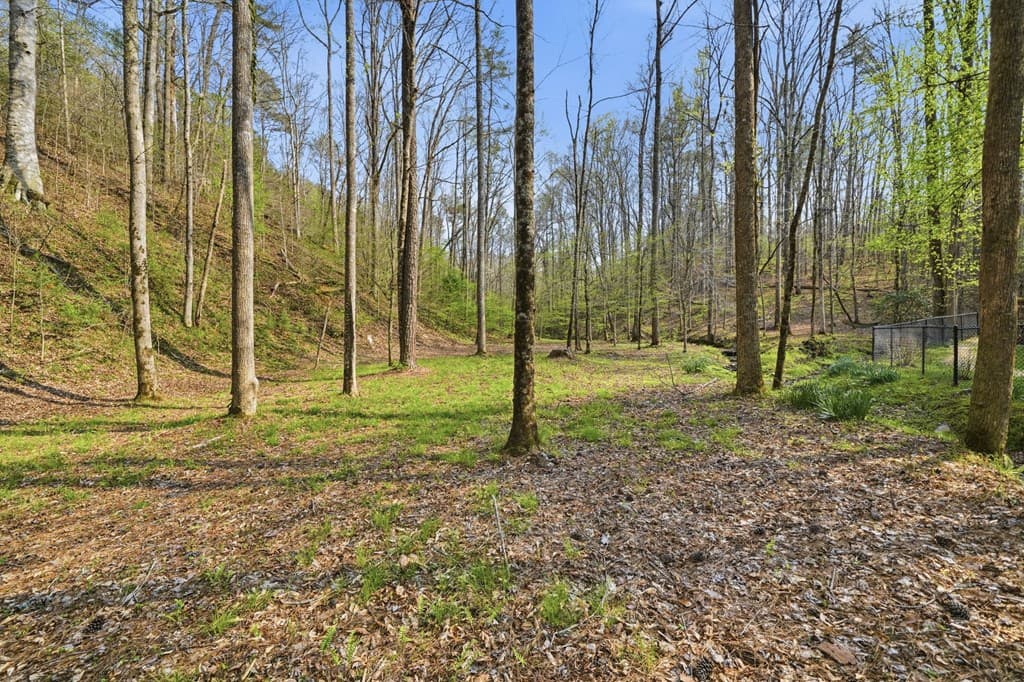 434 Lemmon Drive, Ellijay GA 30540 - Photo
