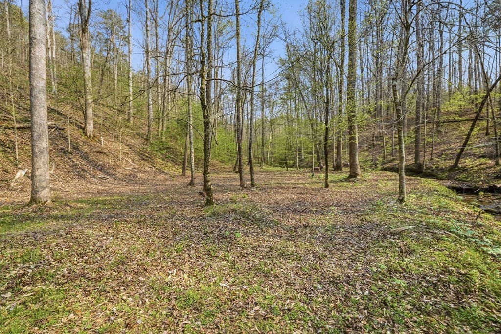 434 Lemmon Drive, Ellijay GA 30540 - Photo