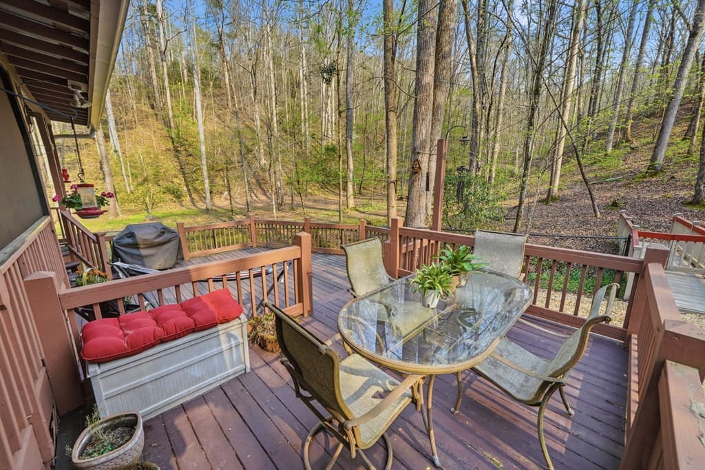 434 Lemmon Drive, Ellijay GA 30540 - Photo
