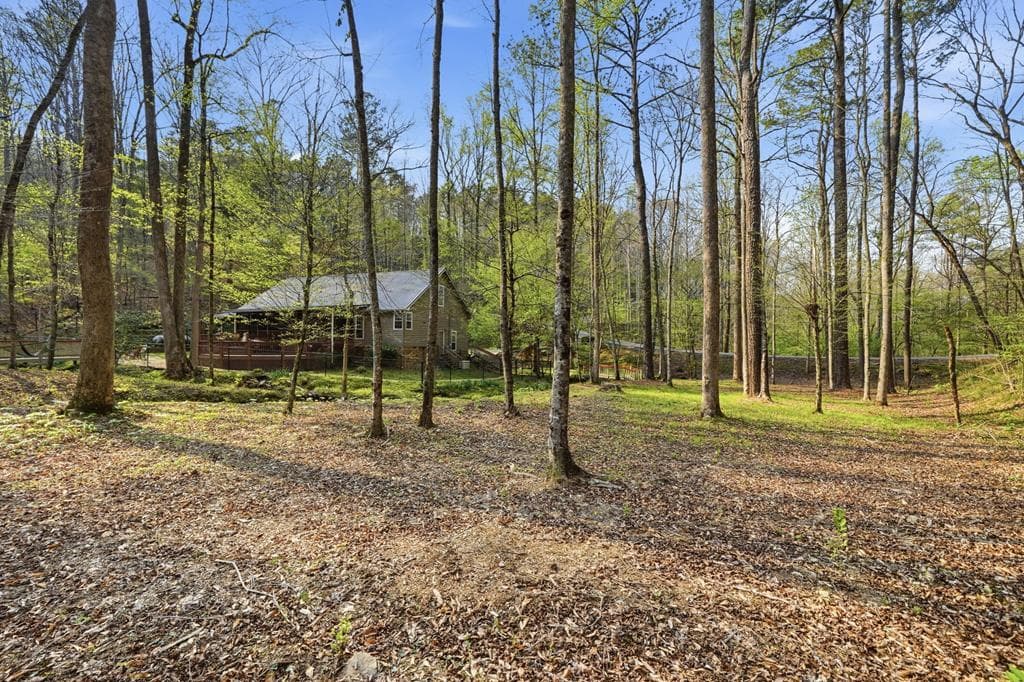 434 Lemmon Drive, Ellijay GA 30540 - Photo