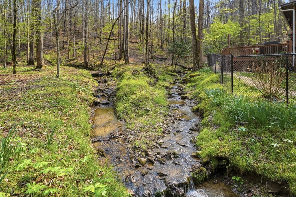 434 Lemmon Drive, Ellijay GA 30540 - Photo