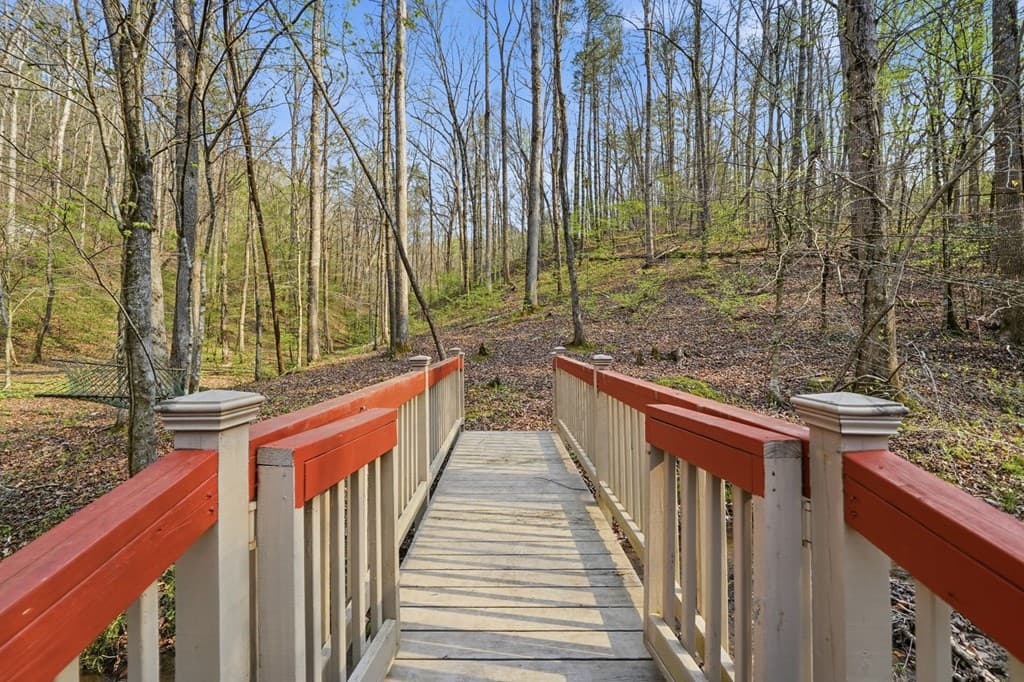 434 Lemmon Drive, Ellijay GA 30540 - Photo