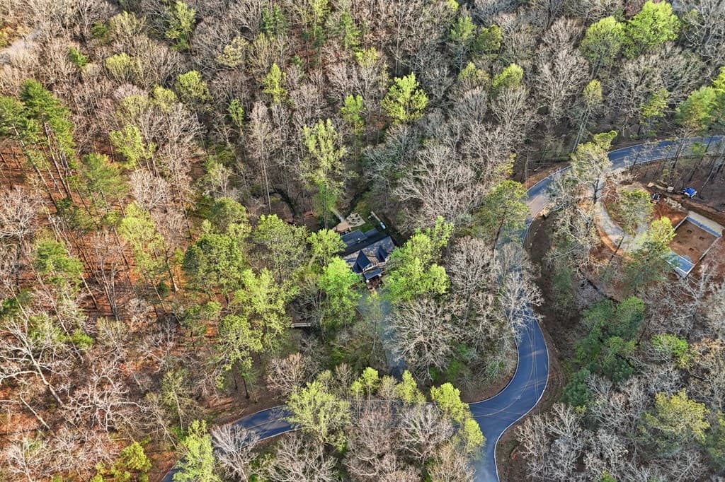 434 Lemmon Drive, Ellijay GA 30540 - Photo