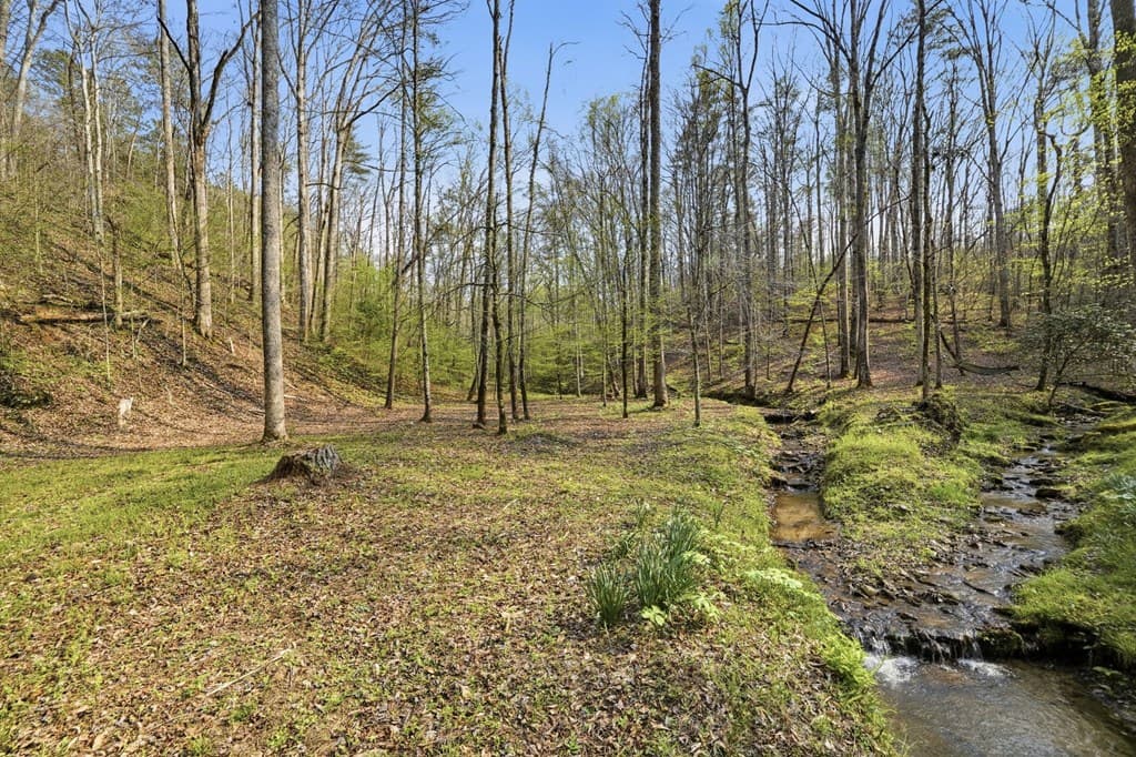 434 Lemmon Drive, Ellijay GA 30540 - Photo