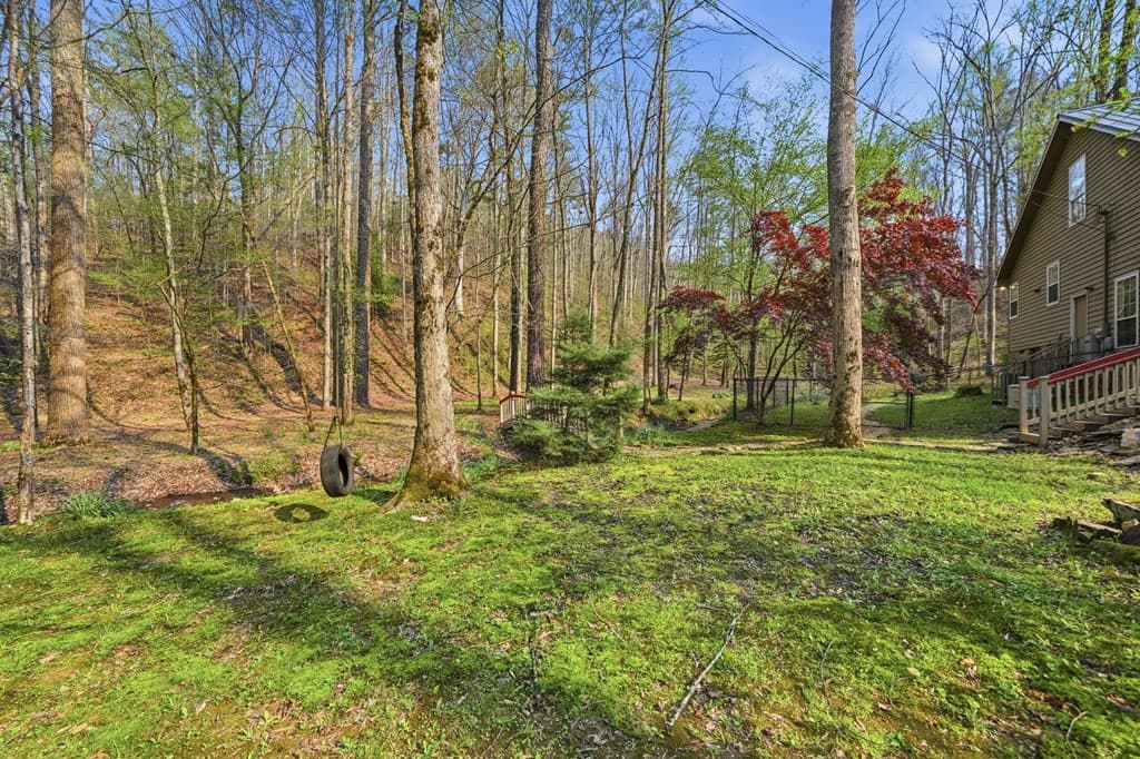 434 Lemmon Drive, Ellijay GA 30540 - Photo