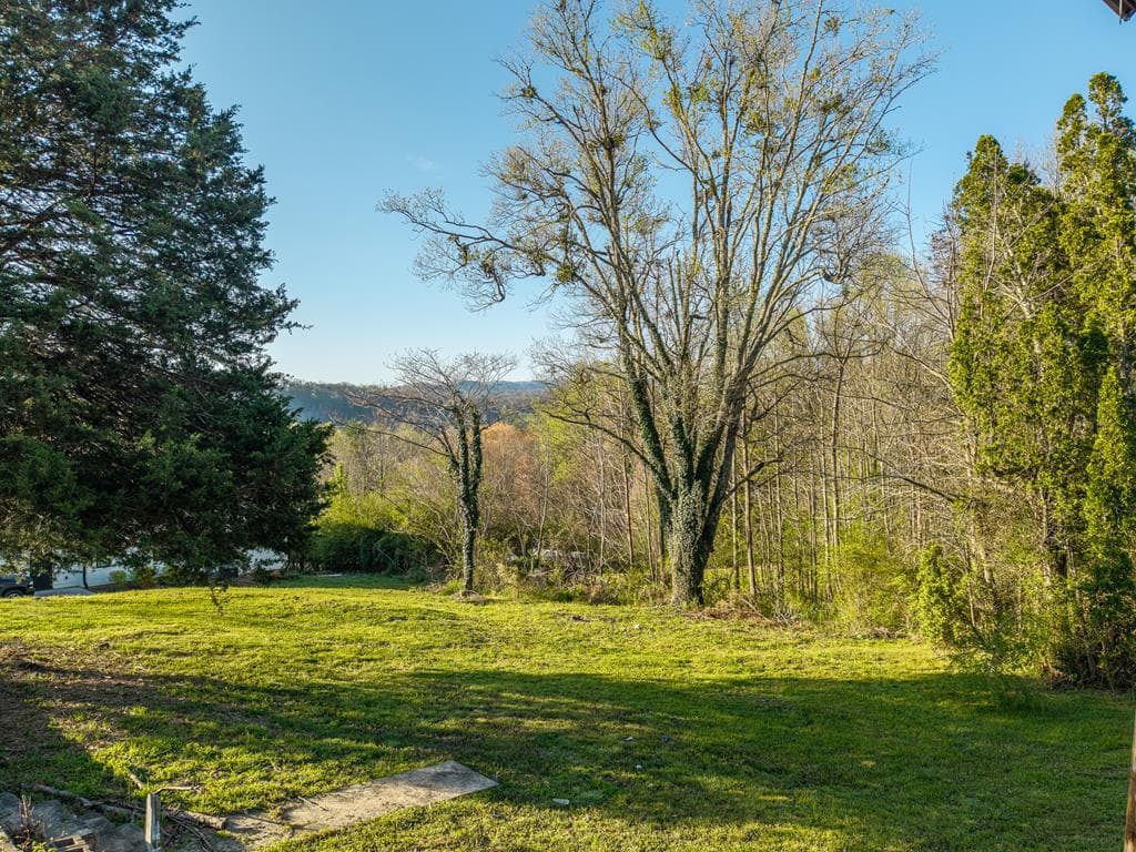 291 E Second Street, Blue Ridge GA 30513 - Photo
