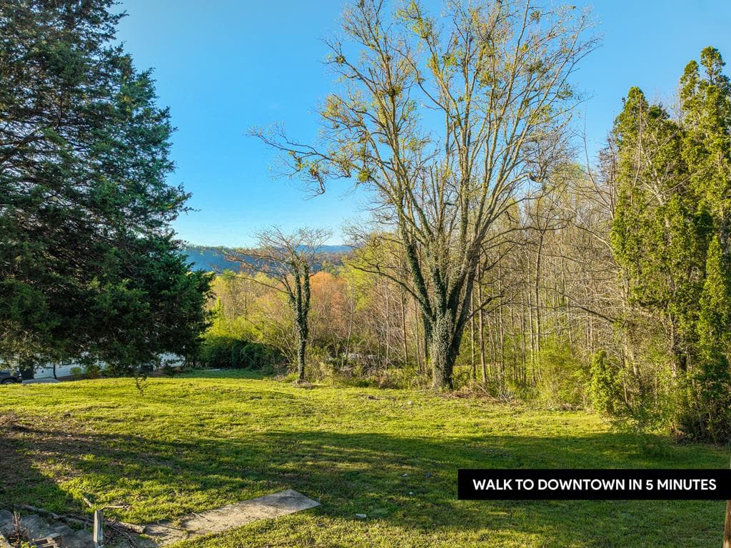 291 E Second Street, Blue Ridge GA 30513 - Primary photo