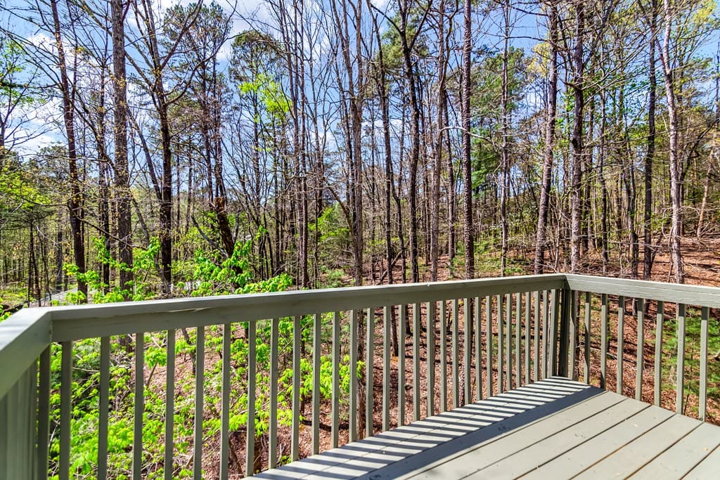 1205 Newport Drive, Ellijay GA 30540 - Photo