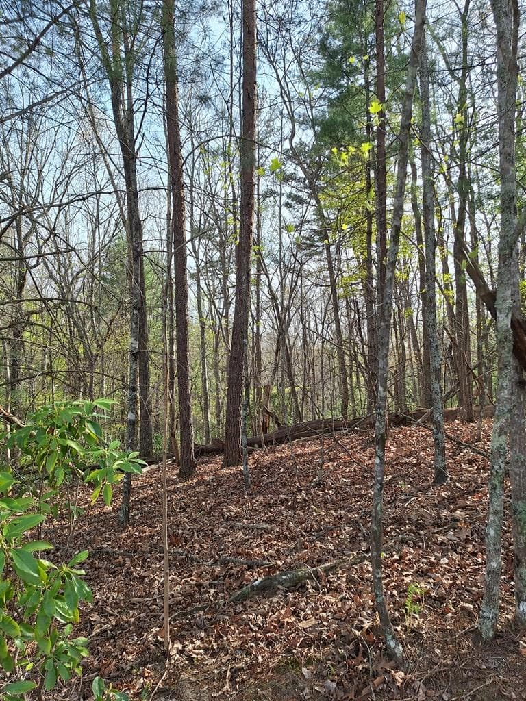 LOT 22 Mull Lane Cir, Lt 22, Morganton GA 30560 - Photo