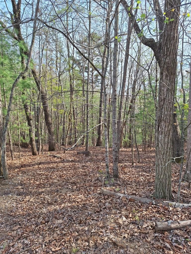 LOT 22 Mull Lane Cir, Lt 22, Morganton GA 30560 - Photo