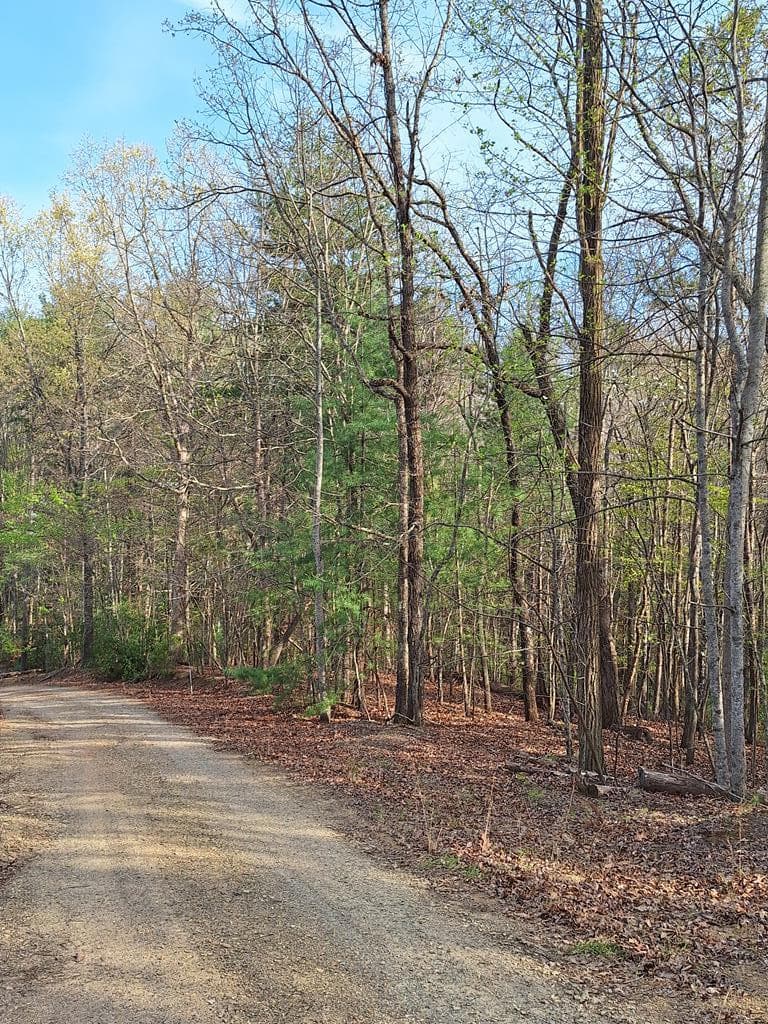 LOT 22 Mull Lane Cir, Lt 22, Morganton GA 30560 - Primary photo
