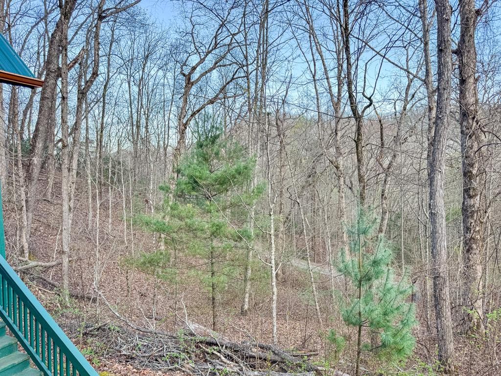 157 Frontier Drive, Hayesville NC 28904 - Photo