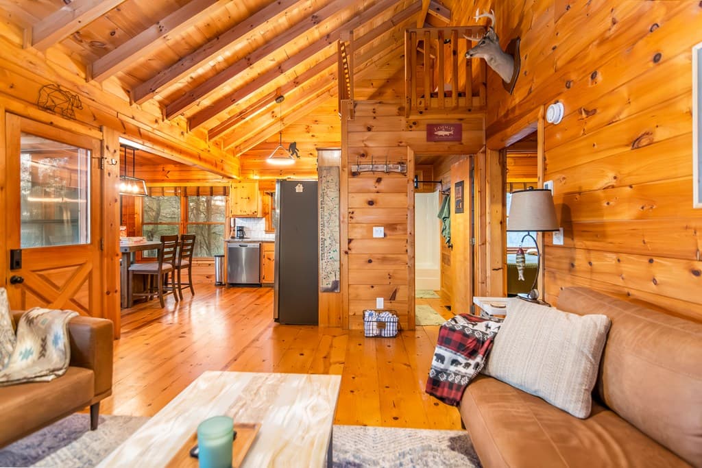 22 N Candice Court, Blue Ridge GA 30513 - Photo