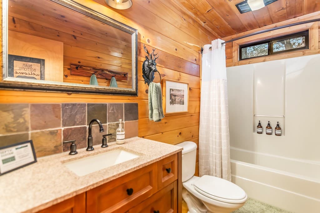 22 N Candice Court, Blue Ridge GA 30513 - Photo