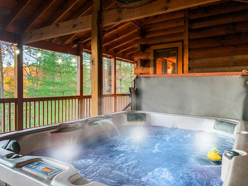 22 N Candice Court, Blue Ridge GA 30513 - Photo