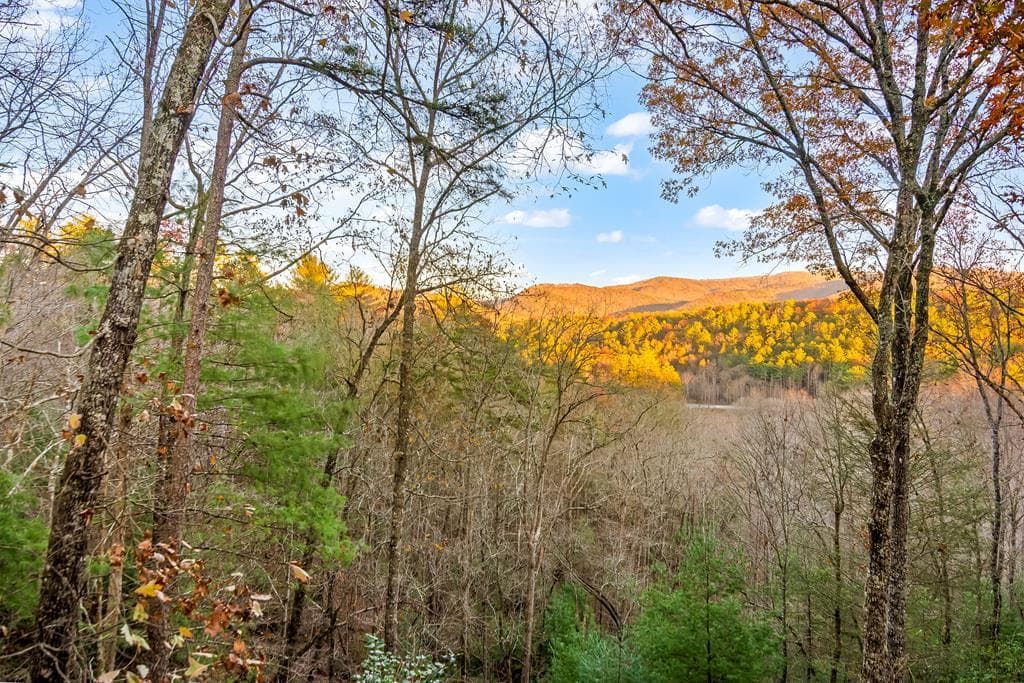 22 N Candice Court, Blue Ridge GA 30513 - Primary photo