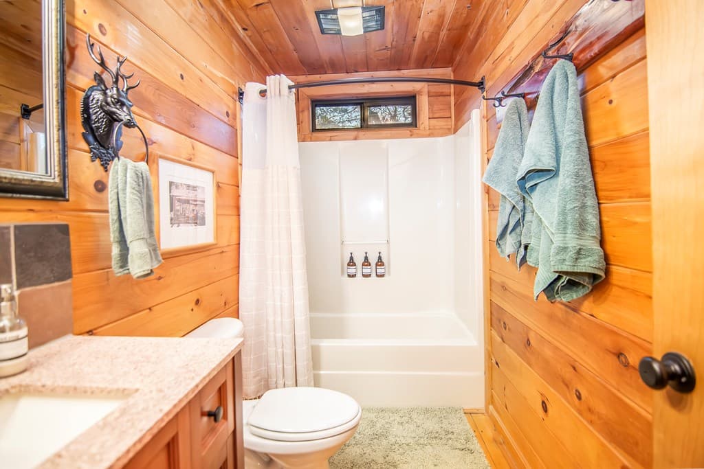 22 N Candice Court, Blue Ridge GA 30513 - Photo