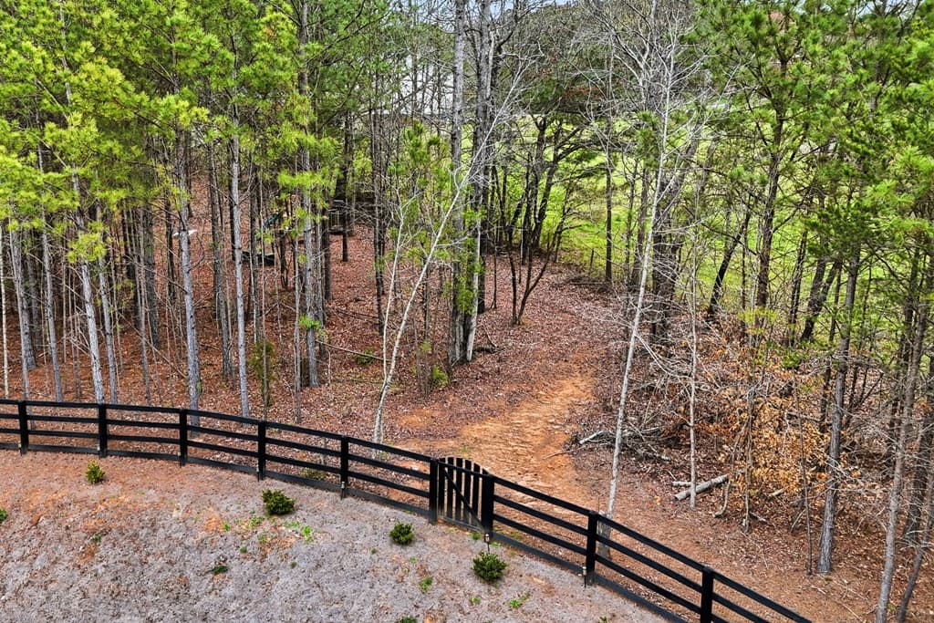 503 London Road, Ball Ground GA 30107 - Photo