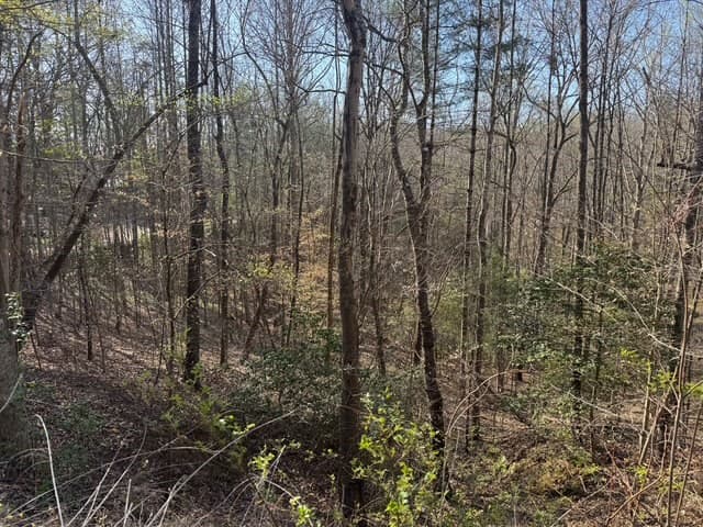 00 Robin Road, Murphy NC 28906 - Photo