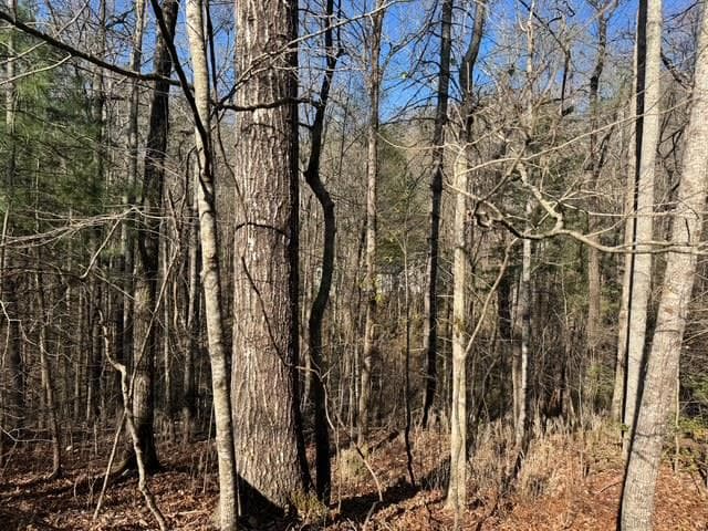 00 Robin Road, Murphy NC 28906 - Photo