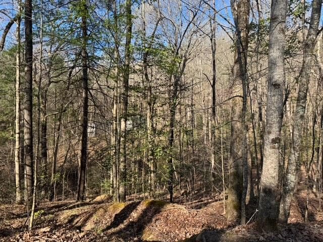 00 Robin Road, Murphy NC 28906 - Primary photo