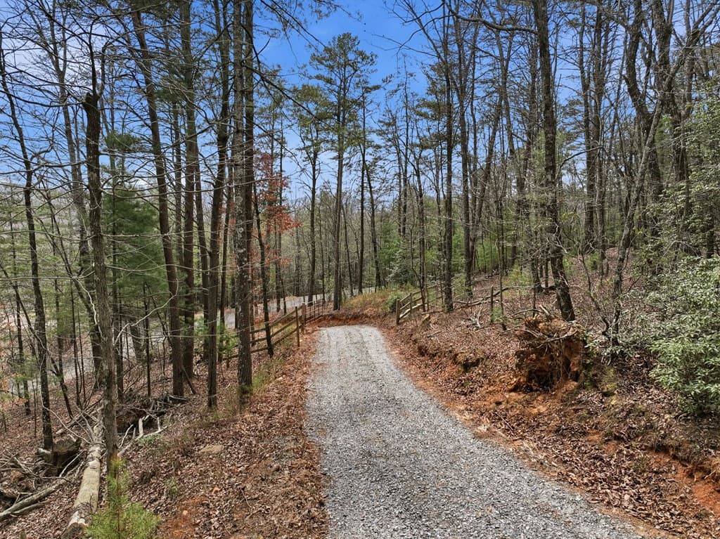 1399 Old Parker Place Road, Ellijay GA 30536 - Photo