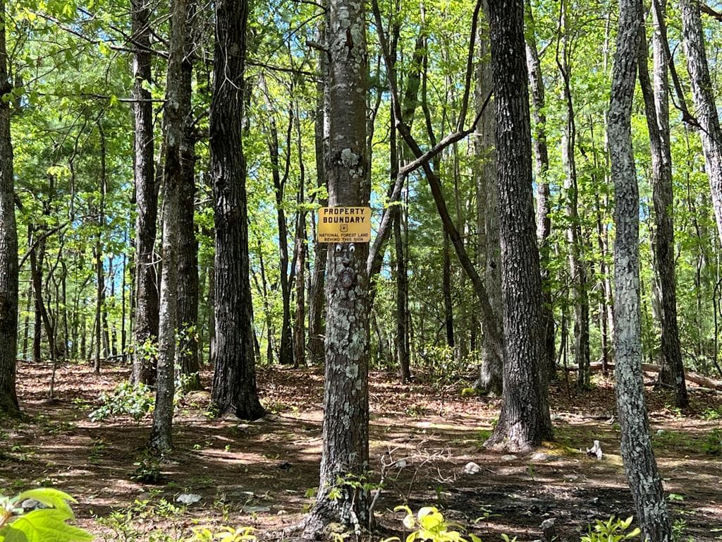 1399 Old Parker Place Road, Ellijay GA 30536 - Photo