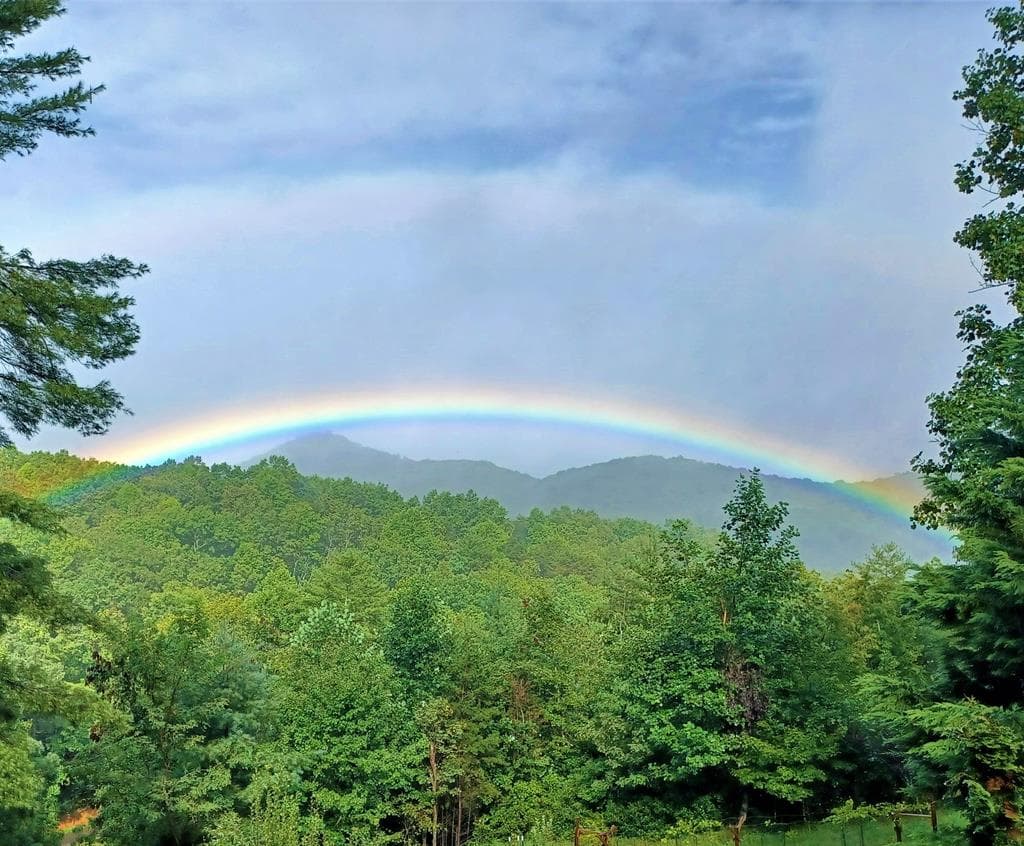 1399 Old Parker Place Road, Ellijay GA 30536 - Photo