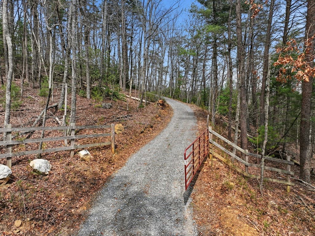 1399 Old Parker Place Road, Ellijay GA 30536 - Photo