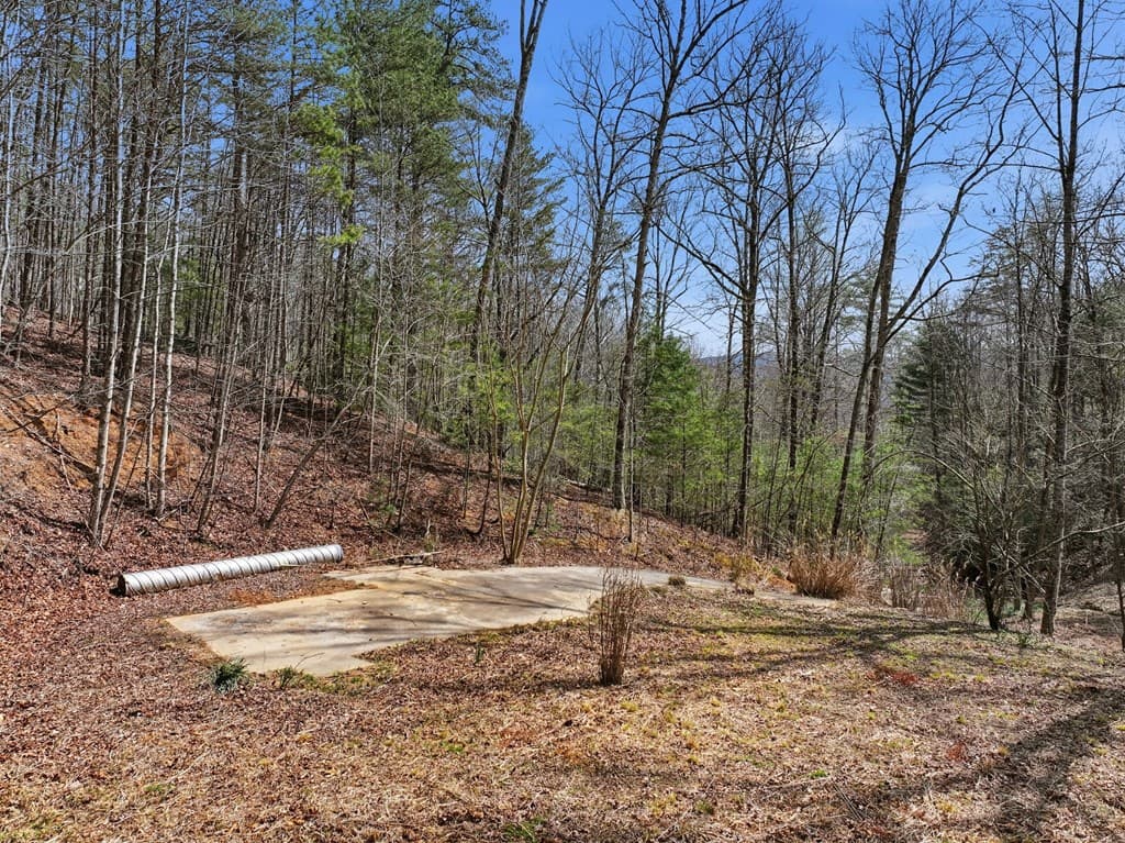 1399 Old Parker Place Road, Ellijay GA 30536 - Photo