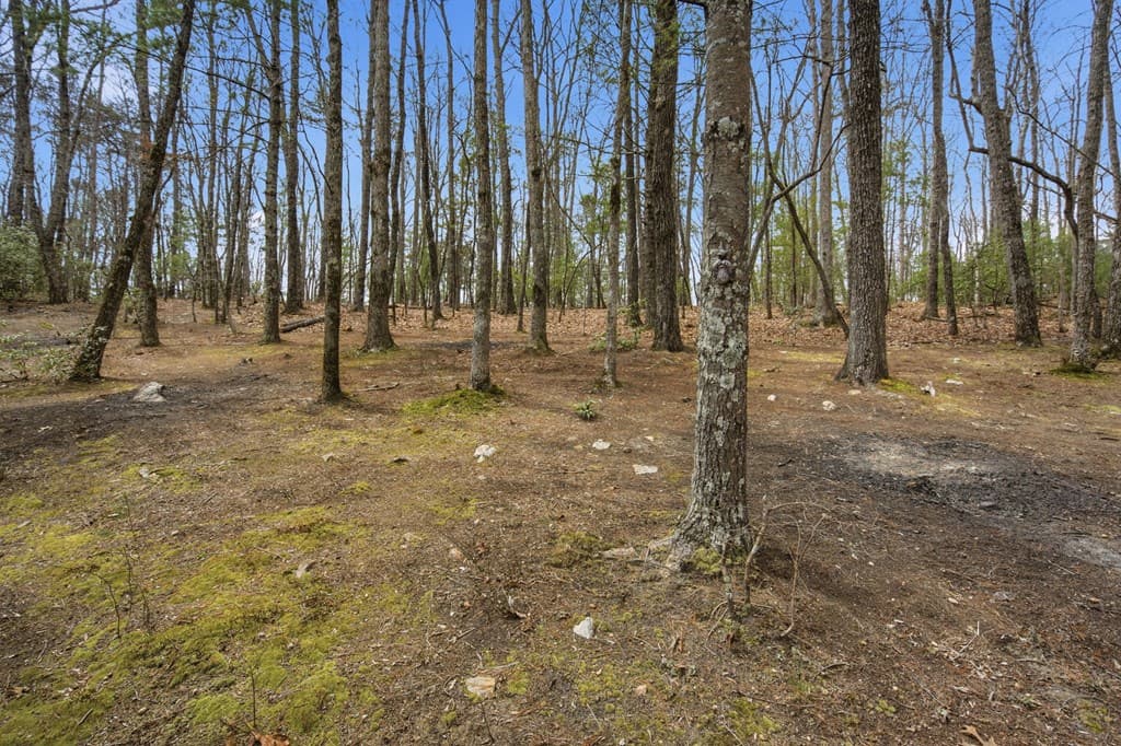 1399 Old Parker Place Road, Ellijay GA 30536 - Photo