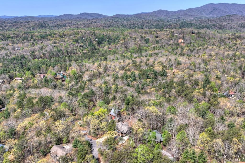 375 Seneca Drive, Ellijay GA 30540 - Photo