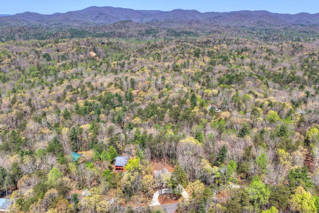 375 Seneca Drive, Ellijay GA 30540 - Photo