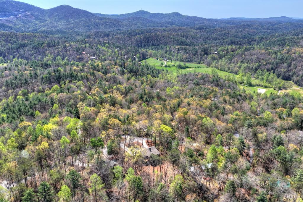 375 Seneca Drive, Ellijay GA 30540 - Photo
