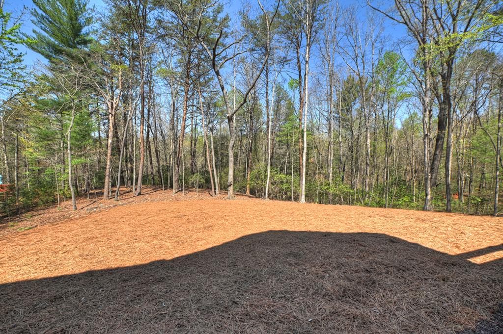 375 Seneca Drive, Ellijay GA 30540 - Photo