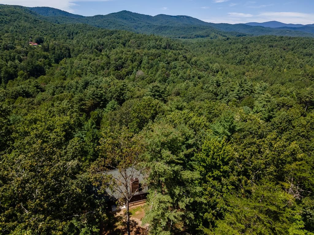 114 Boone Court, Ellijay GA 30540 - Photo