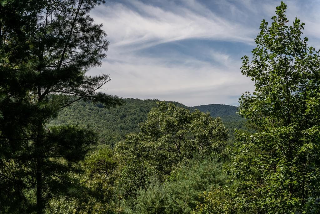 114 Boone Court, Ellijay GA 30540 - Photo