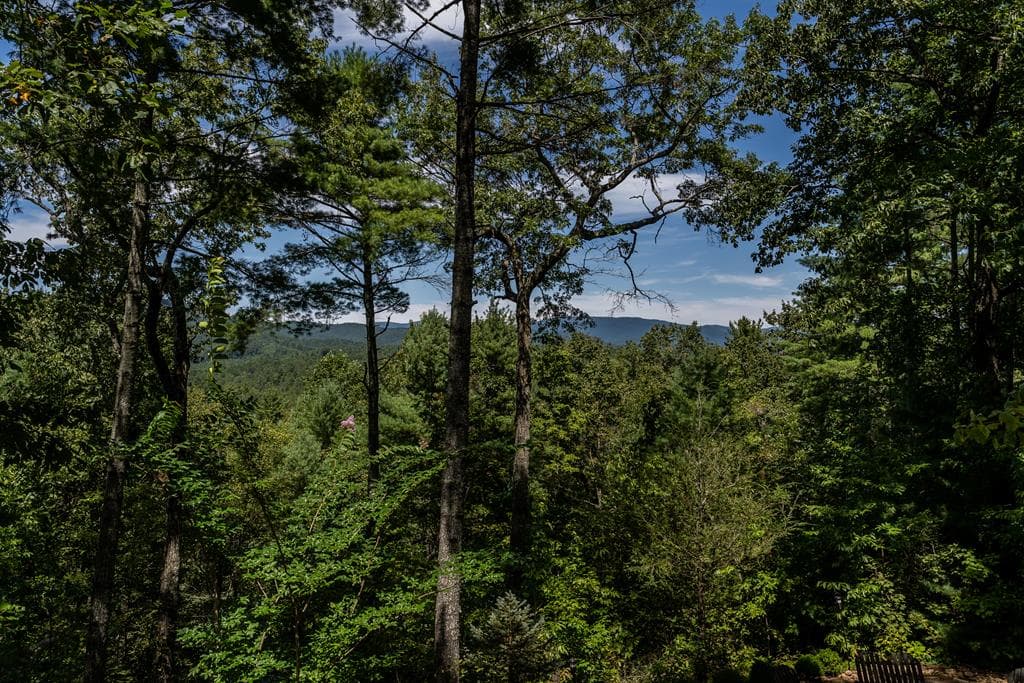 114 Boone Court, Ellijay GA 30540 - Photo