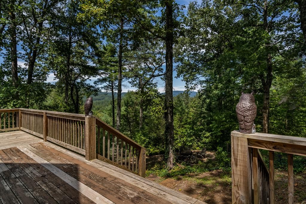 114 Boone Court, Ellijay GA 30540 - Photo