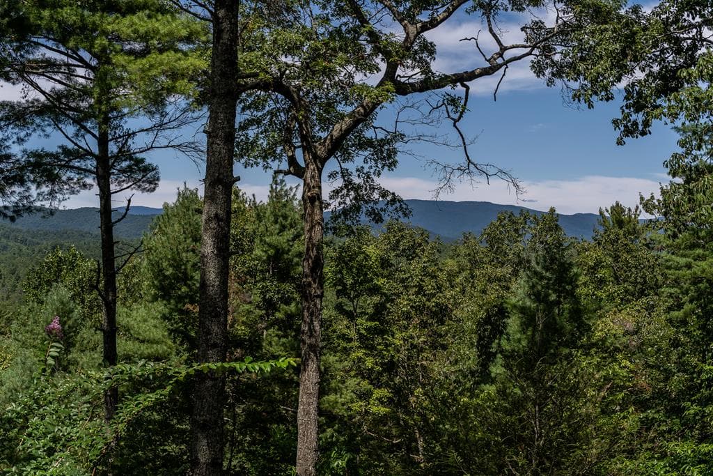 114 Boone Court, Ellijay GA 30540 - Photo