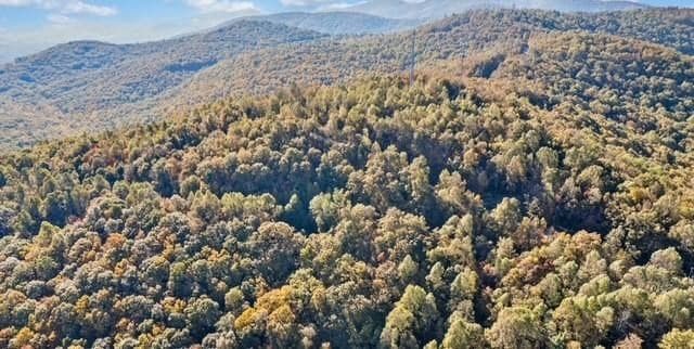 Lot 2 Upper Sassafras Parkway, Jasper GA 30143 - Photo