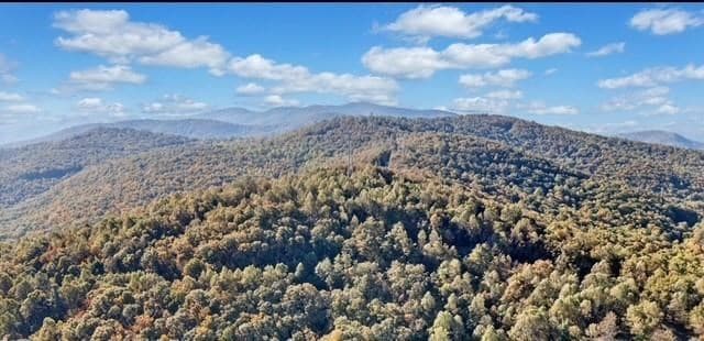 Lot 2 Upper Sassafras Parkway, Jasper GA 30143 - Photo