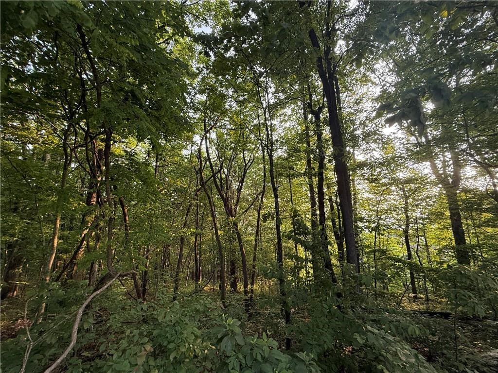 Lot 3 Upper Sassafras Parkway, Jasper GA 30143 - Photo