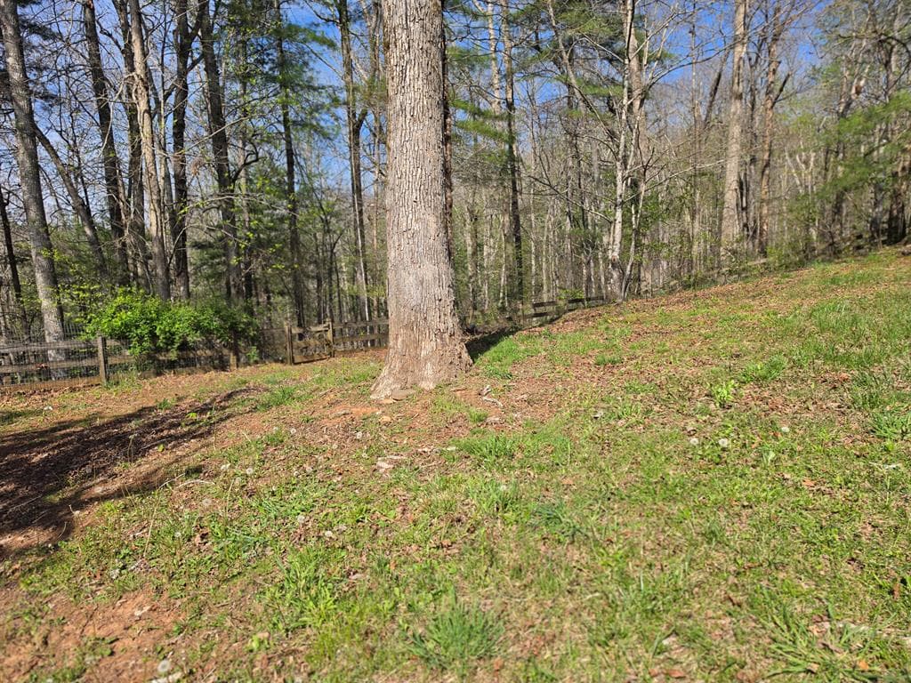 978 Ashley Lane, Young Harris GA 30582 - Photo