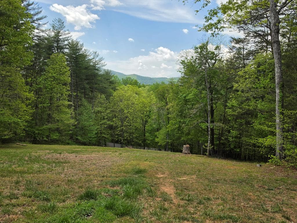 978 Ashley Lane, Young Harris GA 30582 - Photo